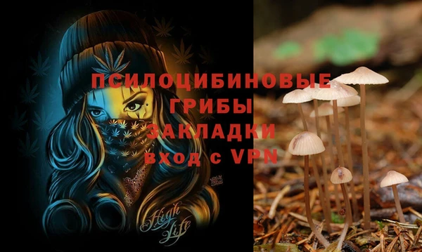 кокс Козловка