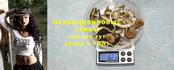 дмт Козельск