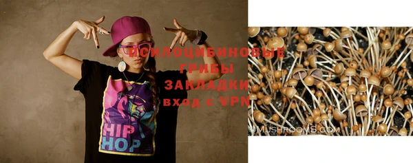 дмт Козельск