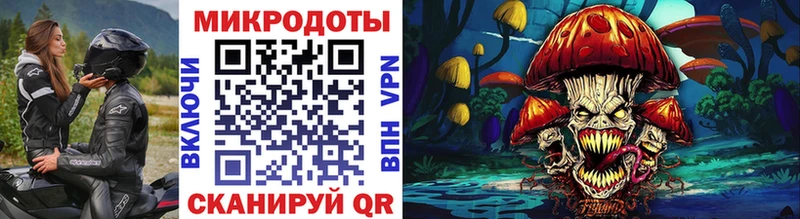 Псилоцибиновые грибы Psilocybe  сколько стоит  Пудож 
