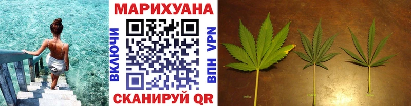 Марихуана индика  Пудож 